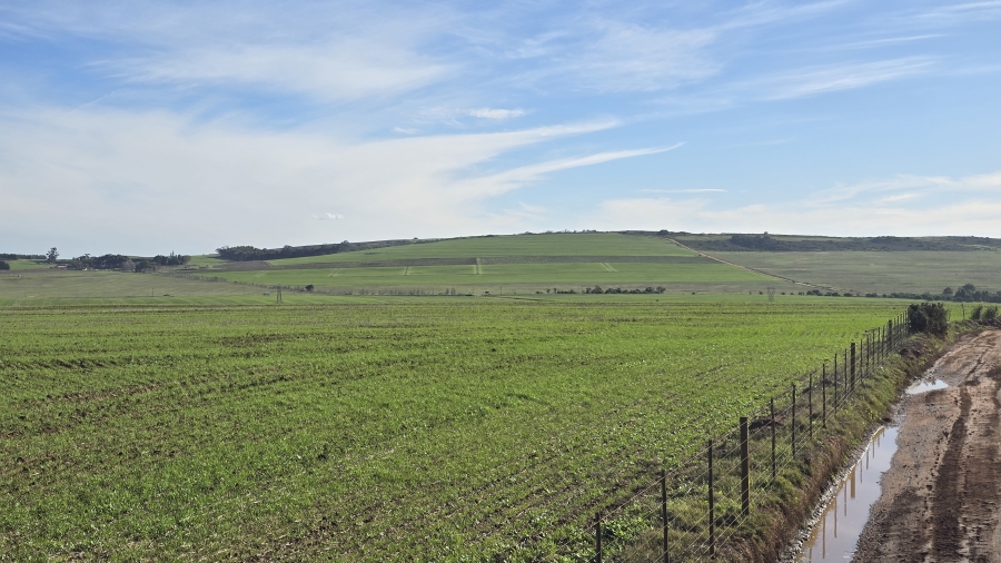 Commercial Property for Sale in Paarl Rural Western Cape